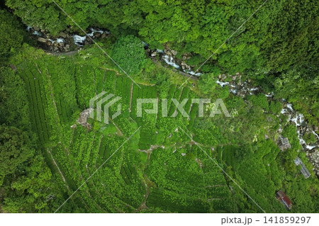 静岡市有東木の段々畑と茶畑を真俯瞰した空撮写真 静岡市有東木の段々畑と茶畑を真俯瞰した空撮写真 141859297