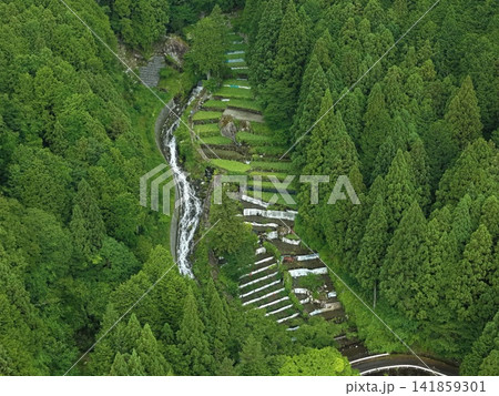 静岡県静岡市有東木の段々畑（わさび畑）を捉えた空撮写真 141859301