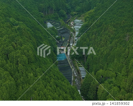 静岡県静岡市有東木のわさび畑を捉えた空撮写真 静岡県静岡市有東木のわさび畑を捉えた空撮写真 141859302