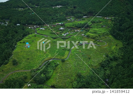 三重県熊野市・丸山千枚田周辺の棚田と山林を捉えた空撮写真 141859412