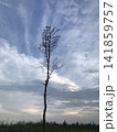 生命力 141859757