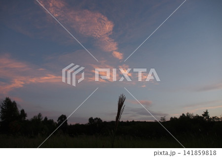 秋の黄昏時にたたずむススキと美しい夕焼け空の風景 秋の黄昏時にたたずむススキと美しい夕焼け空の風景 141859818