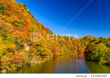 奥利根ゆけむり街道の紅葉 藤原湖畔公園付近から望む波立つ湖面と対岸の山肌の風景 141860305