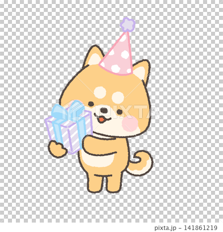 一隻棕色的柴犬，戴著派對帽，手裡拿著禮物。 141861219