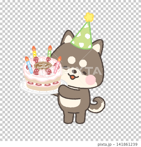 A black Shiba Inu wearing a party hat and holding a whole cake. A black Shiba Inu wearing a party hat and holding a whole cake. 141861239
