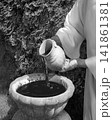 Hands pour water into the pot 141861381