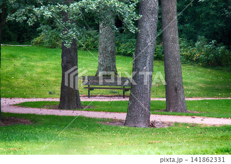 Park, alder, lawn, park paths and old park bench Park, alder, lawn, park paths and old park bench 141862331
