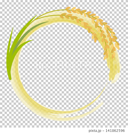 水稻/新茬苗床 01 141862596