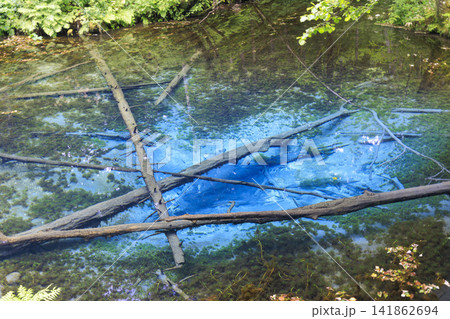 神の子池 (北海道 清里町) 摩周湖の源泉とも言われる美しい泉 141862694