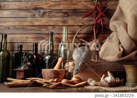 Gray rat in a rustic kitchen. Gray rat in a rustic kitchen. 141863229