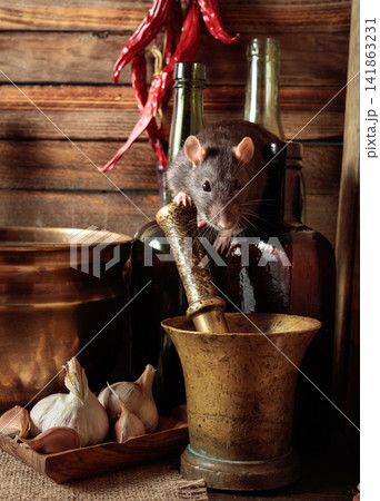 Gray rat in a rustic kitchen. 141863231