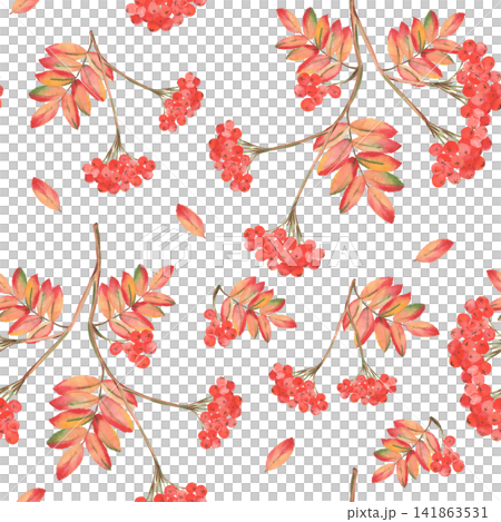 Watercolor rowan berry seamless pattern with colorful autumn foliage Watercolor rowan berry seamless pattern with colorful autumn foliage 141863531