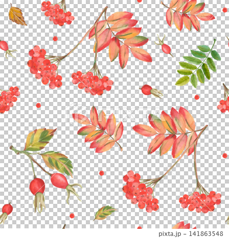Watercolor autumn seamless pattern with rowan berries and rose hips Watercolor autumn seamless pattern with rowan berries and rose hips 141863548