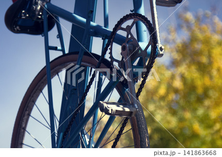 Composition of bike and yellow leaves tree Composition of bike and yellow leaves tree 141863668