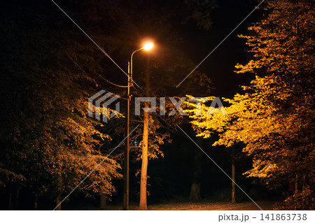 night autumn Park with a lantern. night autumn Park with a lantern. 141863738