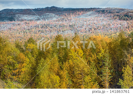 autumn forest autumn forest 141863761