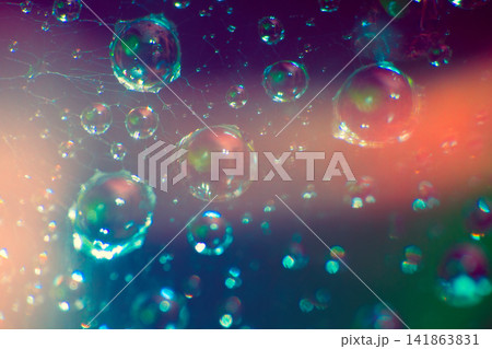 magic web with water droplets in the microcosm. magic web with water droplets in the microcosm. 141863831