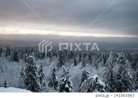 boreal coniferous forest. Top view boreal coniferous forest. Top view 141863963