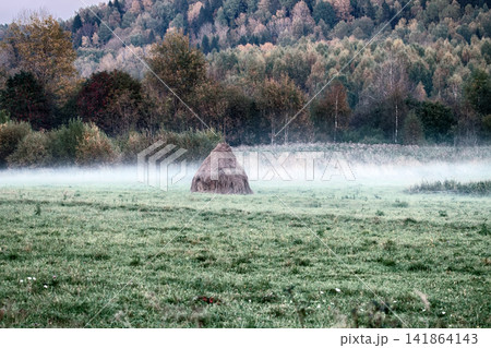 Autumn. Hay dried and assembled in stack 141864143