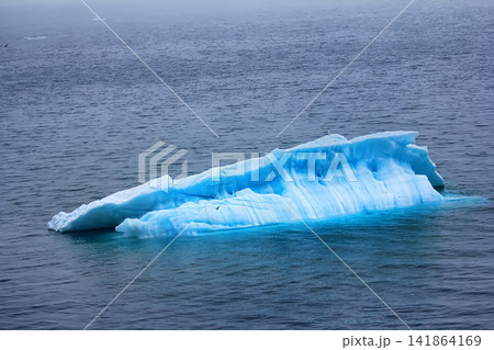 Typical growler (small flat iceberg) in waters of the Barents sea 141864169