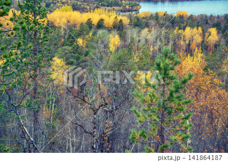 Lovely river landscape in autumn yellowed forest Lovely river landscape in autumn yellowed forest 141864187