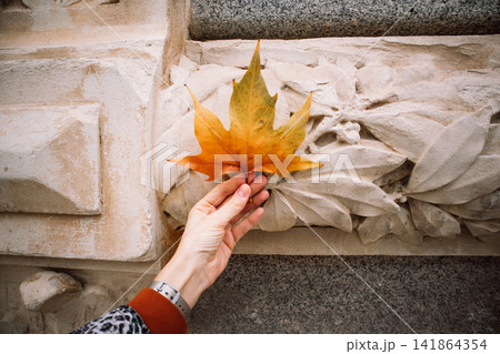 Hand holding a golden maple leaf against an ornate stone facade, combining autumn foliage with historic architecture, carved decorative details. 141864354