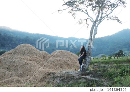 Asian young woman is standing, leaning against a tree near piles of dry straw and terraced rice fields on the mountain in Thailand Asian young woman is standing, leaning against a tree near piles of dry straw and terraced rice fields on the mountain in Thailand 141864593