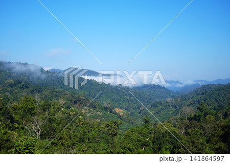 Aerial view landscape morning mist with green forest on the mountain peak with blue sky in Thailand Aerial view landscape morning mist with green forest on the mountain peak with blue sky in Thailand 141864597