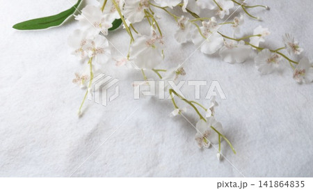 造花のオンシジウム 造花のオンシジウム 141864835