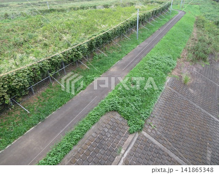 通路 道 通路 道 141865348