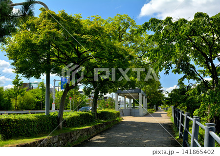 京都の風景 京都の風景 141865402