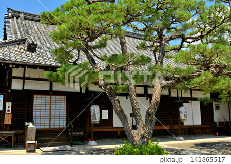 京都・六道珍皇寺 京都・六道珍皇寺 141865517