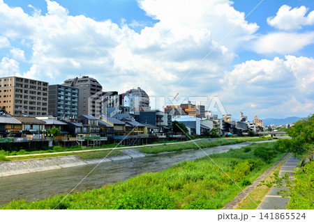 京都・鴨川 京都・鴨川 141865524