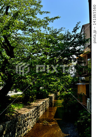 京都・高瀬川 141865560