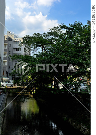 京都・高瀬川 京都・高瀬川 141865590