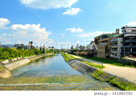 京都・鴨川 京都・鴨川 141865592