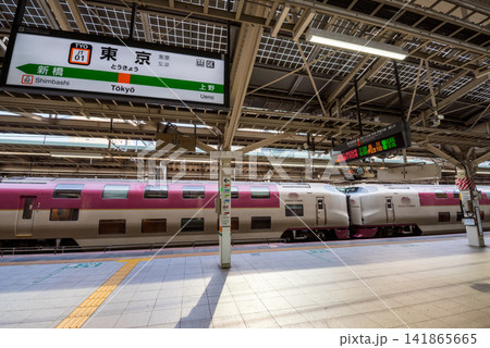 【東海道線】東京駅に停車するサンライズ瀬戸・出雲 141865665