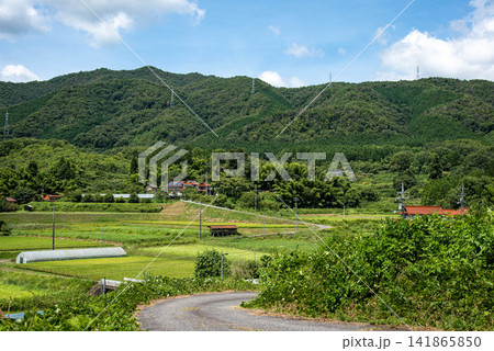 緑豊かな山里の集落へ続く道 141865850