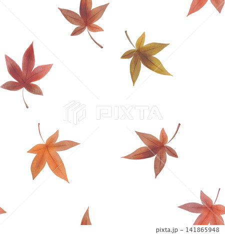 紅葉の落ち葉のイラスト 紅葉の落ち葉のイラスト 141865948