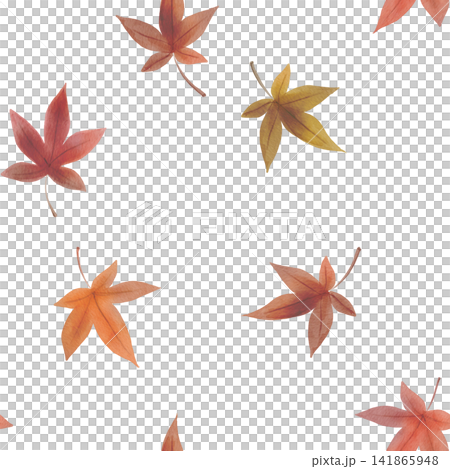 紅葉の落ち葉のイラスト 紅葉の落ち葉のイラスト 141865948