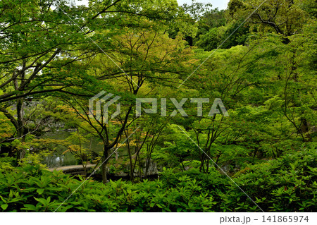 日本100名城・和歌山城 日本100名城・和歌山城 141865974