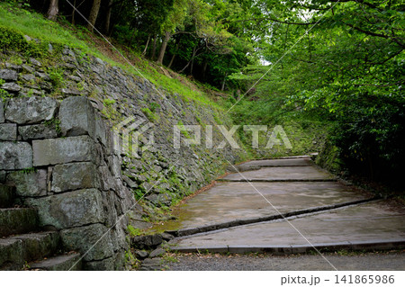 日本100名城・和歌山城 日本100名城・和歌山城 141865986
