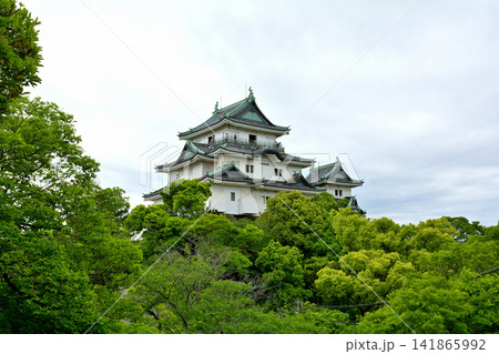 日本100名城・和歌山城 141865992