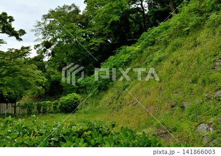 日本100名城・和歌山城 日本100名城・和歌山城 141866003