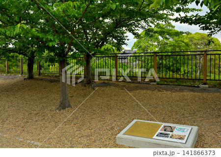 奈良・郡山城 奈良・郡山城 141866373