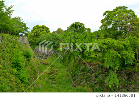 奈良・郡山城 奈良・郡山城 141866381
