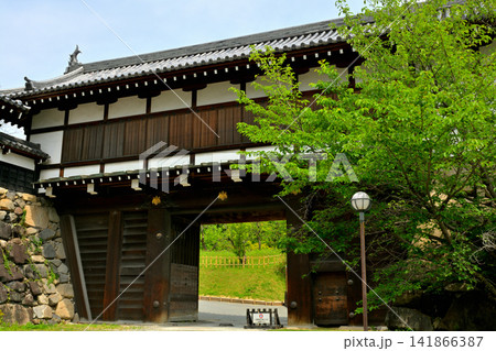 奈良・郡山城 奈良・郡山城 141866387