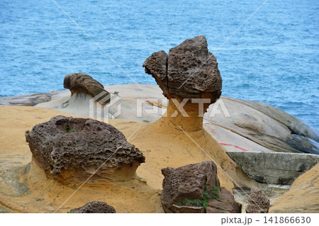 台湾、新北市、野柳地質公園、奇岩・怪石の並ぶ海岸、マッシュルームロック(キノコ岩) 台湾、新北市、野柳地質公園、奇岩・怪石の並ぶ海岸、マッシュルームロック(キノコ岩) 141866630