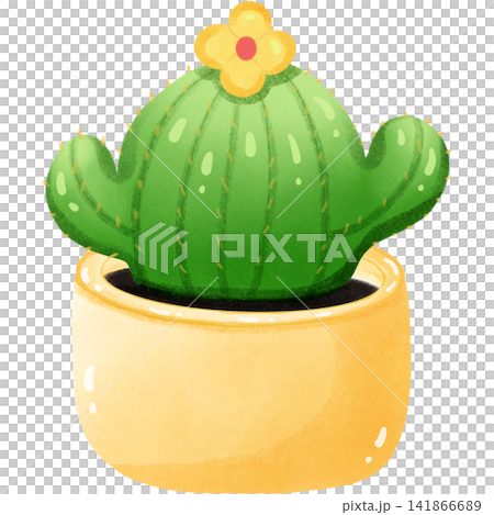 The little cactus for ornamental The little cactus for ornamental 141866689