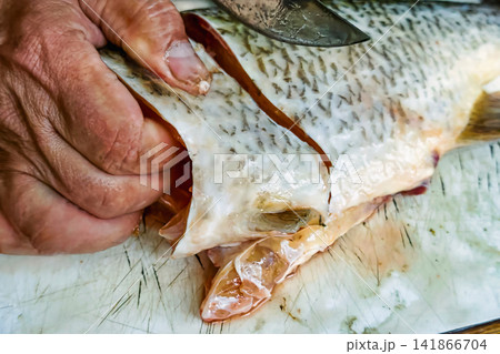 A person is preparing fish by slicing the skin and removing the innards in a kitchen. The focus is on the hands and knife mid-action, with fish visible A person is preparing fish by slicing the skin and removing the innards in a kitchen. The focus is on the hands and knife mid-action, with fish visible 141866704